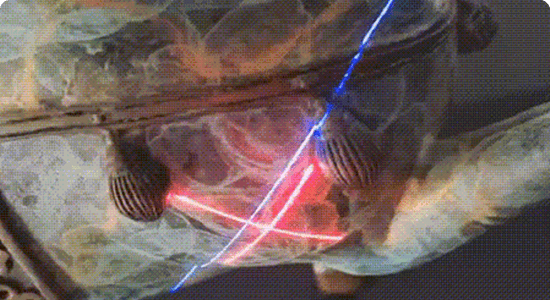 Conservation and Restoration of Cultural Relics